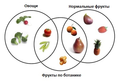 Фрукты и овощи